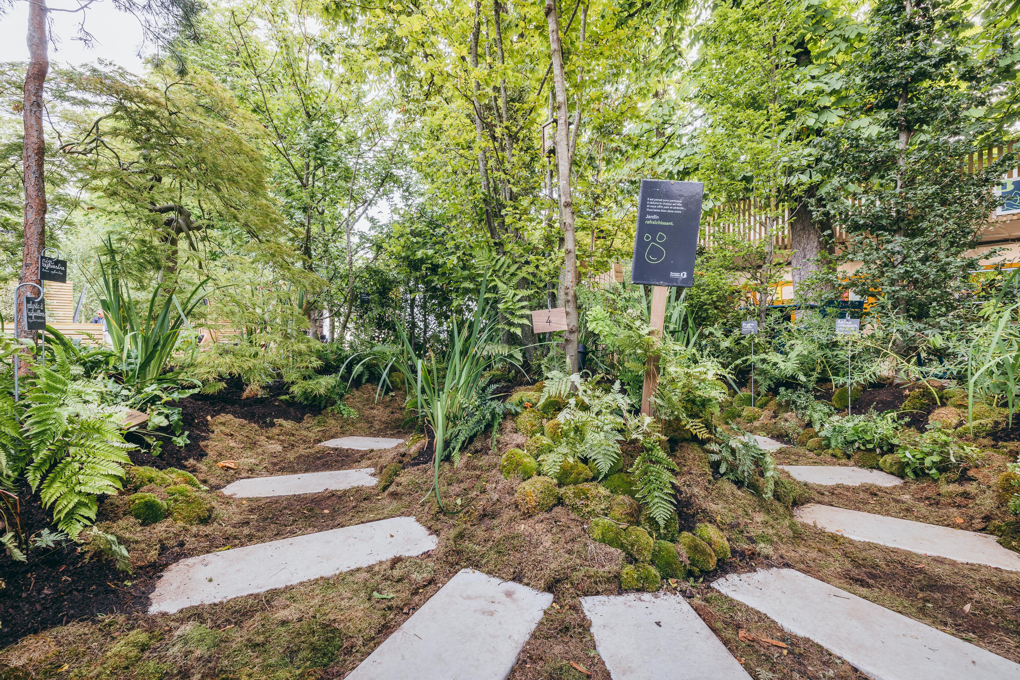 photo du jardin signature